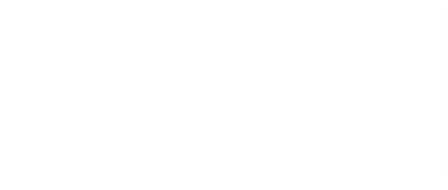 Studio Persian